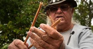 Native American technology and cures: gifts of the land and its plants