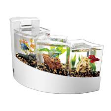 This tank comes complete with filtration system, opaque dividers, and two color lights. Aqueon Betta Falls Review Why We Don T Like It