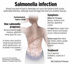 Medical Lab Technology Recent Case Of Food Poisoning In Malaysia Salmonella Symptoms Salmonella Symptoms