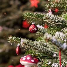 Alors, il n'est sans doute pas question pour vous de déroger à la règle de l'achat d'un sapin naturel. Sapin Ikea Noel 2020 Pas Cher 24 99 20 En Carte Cadeau