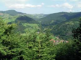 Swarzwald Germany Ferien Deutschland Schwarzwald Schone Landschaften