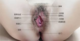 女性生器写真❤️ Best adult photos at mondo.kharkov.ua