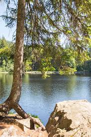 Der Wunderschone Mathisleweiher Im Schwarzwald Schwarzwald Wald Ferien