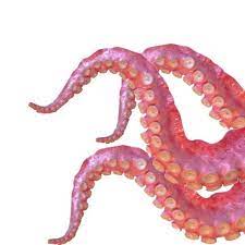 Octopus Tentacle Wall Art Sculpture Pink Etsy Octopus Tentacles Art Tentacle Art Wall Sculpture Art