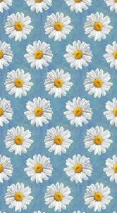 The flower images featured below are delightful and fun. Pastel Cute Daisy Wallpaper Blue Novocom Top