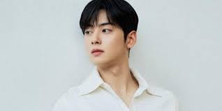 Dramas donde aparece cha eun woo. Cha Eun Woo Sorprende A Aroha Con Su Cabello Platinado