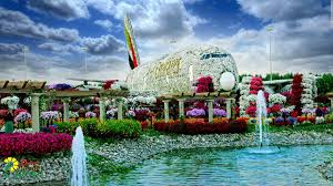 Where is the world's largest natural flower garden. Dubai Miracle Garden The World S Largest Natural Flower Garden Cnn Travel