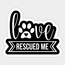 I have had a dog or dogs since i was a 3 and my dad died. Love Rescued Me Cute Dog Quotes Rescue Dogs Autocollant Teepublic Fr