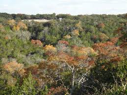 We did not find results for: Great Funky Secluded Pet Friendly Hill Country Getaway Review Of A Lazy S Place Tx Hill Country Dog Friendly House Comfort Tx Tripadvisor