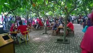 Tempat wisata di kebumen jawa tengah daerah kota gombong dan sekitarnya indah 40 tempat wisata di kebumen yang bagus. Kampung Coklat Wisata Edukasi Di Blitar Jawa Timur Jawa Timur