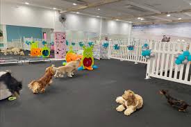 Supplies available are generously donated by community members, and are subject. Pin On Services For Dog Owners