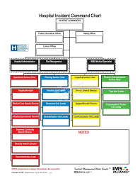 70 abundant hics org chart