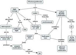 Photo Synth Concept Map Biologia