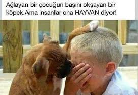 Guzin Arzu Yildirim Adli Kullanicinin Melek Bebekler Panosundaki Pin Hayvan Gercekler Mozaic Sanati