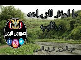 ايوب طارش ما احلا الزراعه وغايب Youtube