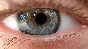 Craftsy Com Express Your Creativity Macro Photography Eyes Eye Photography Macro Photography Tips