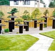 TOP! 80+ ARTISTIC BONSAI GARDEN DESIGNS | HOW TO SET UP YOUR OWN BEAUTIFUL  BONSAI GARDEN IDEAS
