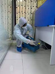 We tailor our termite pest control services in dubai, and other pest elimination services to ensure that we meet the particular needs of each client. Affordable Pest Control Building Cleaning Services L L C Home Facebook