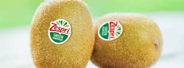 Image result