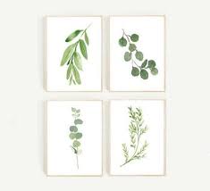 Black And White Botanical Prints Free Gorgeous Botanical Prints Free Printables The Turquoise Home Botanical Prints Free Free Printable Art Botanical Prints