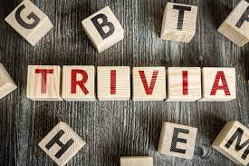 With the right host, a small business can gain a competitive edge by providing superior customer experience. How Should You Host A Trivia Night At Your Bar Bevspot