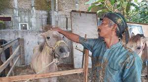 Check spelling or type a new query. Https Pantura Tribunnews Com 2021 07 11 Berikut Ini Prakiraan Cuaca Bmkg Di Pekalongan Raya Minggu 11 Juli 2021 Https Cdn 2 Tstatic Net Pantura Foto Bank Images Ilustrasi Prakiraan Cuaca 5 Jpg Ilustrasi Prakiraan Cuaca Ilustrasi Prakiraan Cuaca Https
