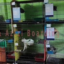 Alat berat menebang pohon di pinggir jalan raya oleh dinas dlh bojonegoro. Dalam Pkpp Sambutan Boarding Perayaan Hari Raya Aidil Adha