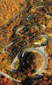 Tail Of The Dragon 318 Curves In 11 Miles Robbinsville Nc We Will Be Here In 4 Days Road Dangerous Roads Beautiful Roads