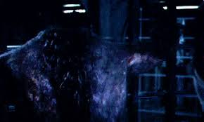 Https Encrypted Tbn0 Gstatic Com Images Q Tbn And9gcrk6ymf1keoow0en4gysio9efprff2yjbzgga Usqp Cau