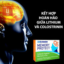 Hỗ Trợ Tăng Cường Trí Nhớ, Ngăn Ngừa Lãng Trí Vi Memory Protect