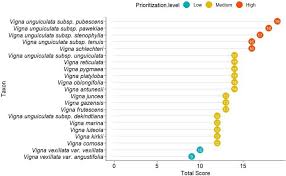 Image result for Vigna comosa