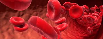 Image result for Nuclear Ventriculogram