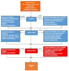 Acute management of anaphylaxis (box 6, box 7) includes the following: First Aid Procedure In Allergic Reaction And Asthma The Y Guide