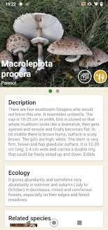 Don't rely completely on this app, it is your responsibility to completely identify. Mushrooms App 62 Download For Android Apk Free
