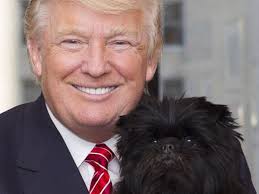Did Donald Trump Proclaim That 'Dogs Are Disgusting'?