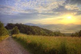 Venture to sights like wooden tserkvas of the carpathian region in poland and ukraine as you discover the local area in limanowa. Limanowa Forrest Zapisy Do Konca Czerwca Biegigorskie Pl