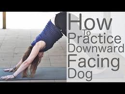 How To Practice Downward Facing Dog Yoga With Lesley Fightmaster Yoga Videos Yoga Poses Basic Yoga Poses