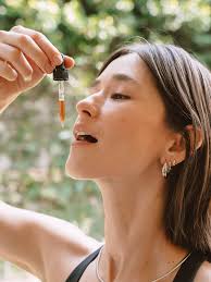 Hongo Melena de León