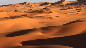 Samedi matin, ce phénomène météorologique, dû à un vent fort et sec accompagné d'une pluie de sable venue du sahara, a teinté le ciel de plusieurs régions, en particulier la provence. Pourquoi Votre Voiture Sera Couverte De Sable En Alsace