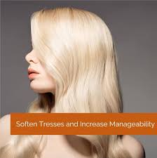 Amazon.com : GIOVANNI 2chic Ultra-Revive Shampoo & Conditioner