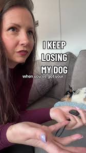 Keep Your Dog Safe with GPS Trackers