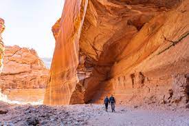 Wire pass trail (buckskin gulch access). How To Hike Wire Pass To Buckskin Gulch In Southern Utah