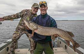 Are you up for some adventure fishing? Home Pasha Lake Cabinspasha Lake Cabins