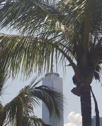 51717 Hints At the Heavy Roots of Her Long-Awaited Debut Album