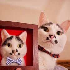 Japon Sanatci Kediden Daha Gercekci Kedi Portreleri Yapiyor Yasam Guncel Haberler