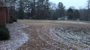 Why choose southern states pest control to take care of your termite problem? Southern Pro Termite And Pest Control Home Facebook