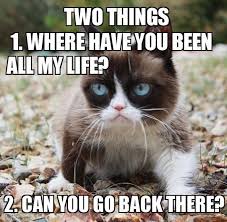 Super Funny Cat Memes 70 Pics Funny Cat Memes Memes Funny Cat Cat Memes Funny Cat Bongo Cat Memes B Funny Grumpy Cat Memes Grumpy Cat Humor Grumpy Cat Quotes
