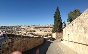 Palm Sunday Walk To The Garden Of Gethsemane Jerusalem Garden Of Gethsemane Favorite Places Trip