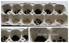 We did not find results for: Crafty Gardener Plant Profile Four O Clocks