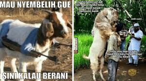 Check spelling or type a new query. 12 Meme Tentang Hewan Kurban Yang Enggak Mau Di Sembelih Ini Kocak Banget
